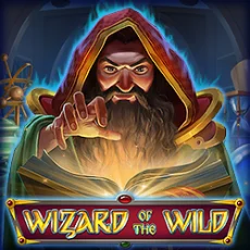 Ігровий автомат Wizard of the Wild у WinBoss казино